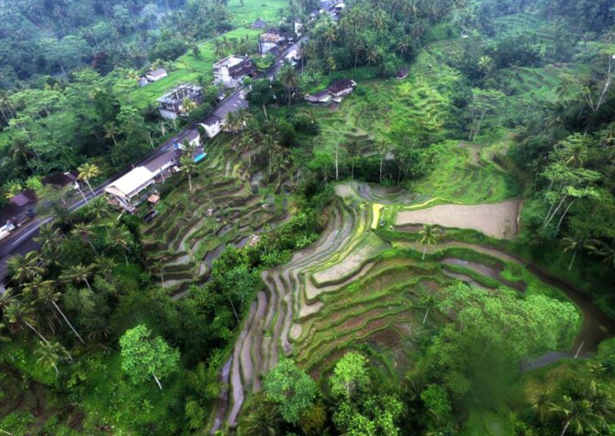 Yugen Infra Portfolio